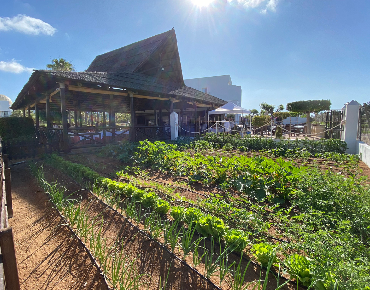 007_alta_playaballena Naos.jpg